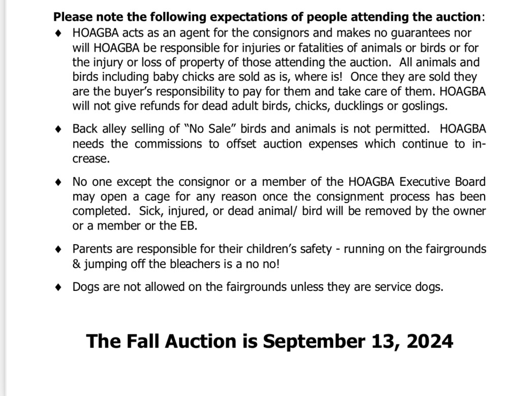 Birds avaiable for Sale